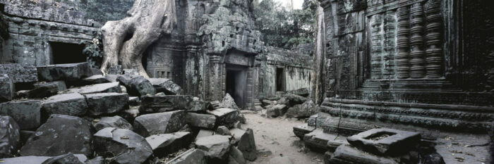 Ta prohm temple in cambodia