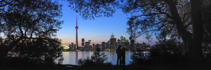 Toronto skyline at night from toronto island through the trees