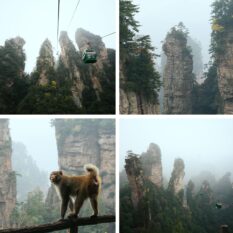 zhangjiajie forest park