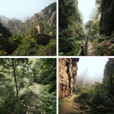 Yangjiajie hiking trail