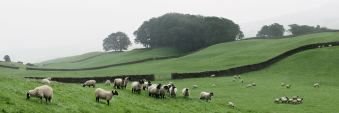 Hawes North Yorkshire dales