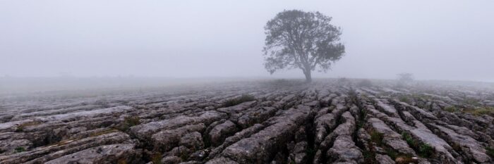 North Yorkshire dales