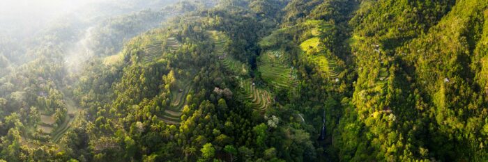 Bali drone