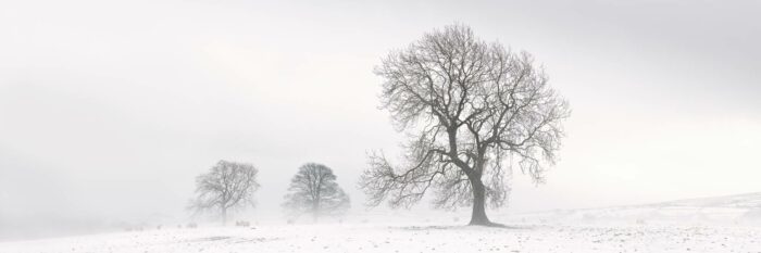 North Yorkshire snow print
