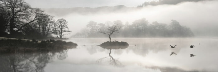 Lake District on a foggy day as birds fly past