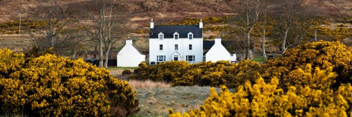 Scottish White House and gorse in spring in Applecross