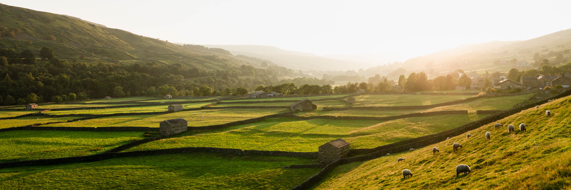 panoramic print of the Yorkshire Dales national park Swaledale