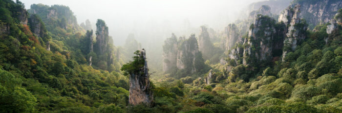 Panorama of the avatar Mountains in the zhangjiajie and Wulingyuan scenic Area in China