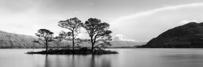 B&W panorama of print trees on an island in Loch Maree in Scotland