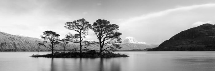 B&W panorama of print trees on an island in Loch Maree in Scotland