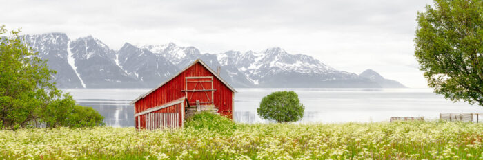 Panorama of a red barn with the Lyngen Alps behind in Norway