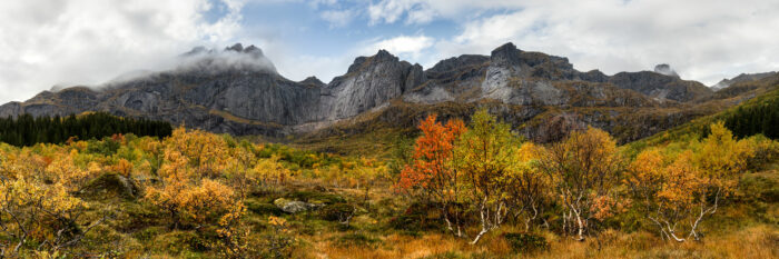 Panorama of Bjorntinden mountain surrounded by golden trees in autumn on the Road to Nusfjord