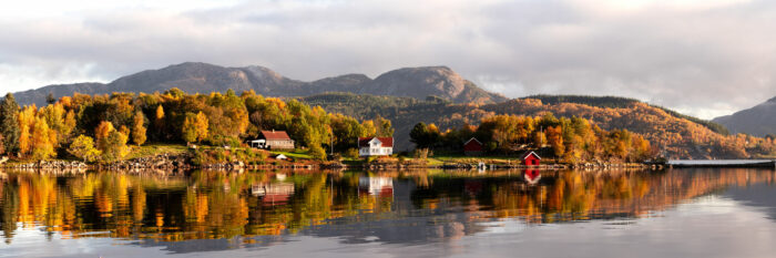 Panorama of an Island in Høgsfjorden in Autumn in Norway