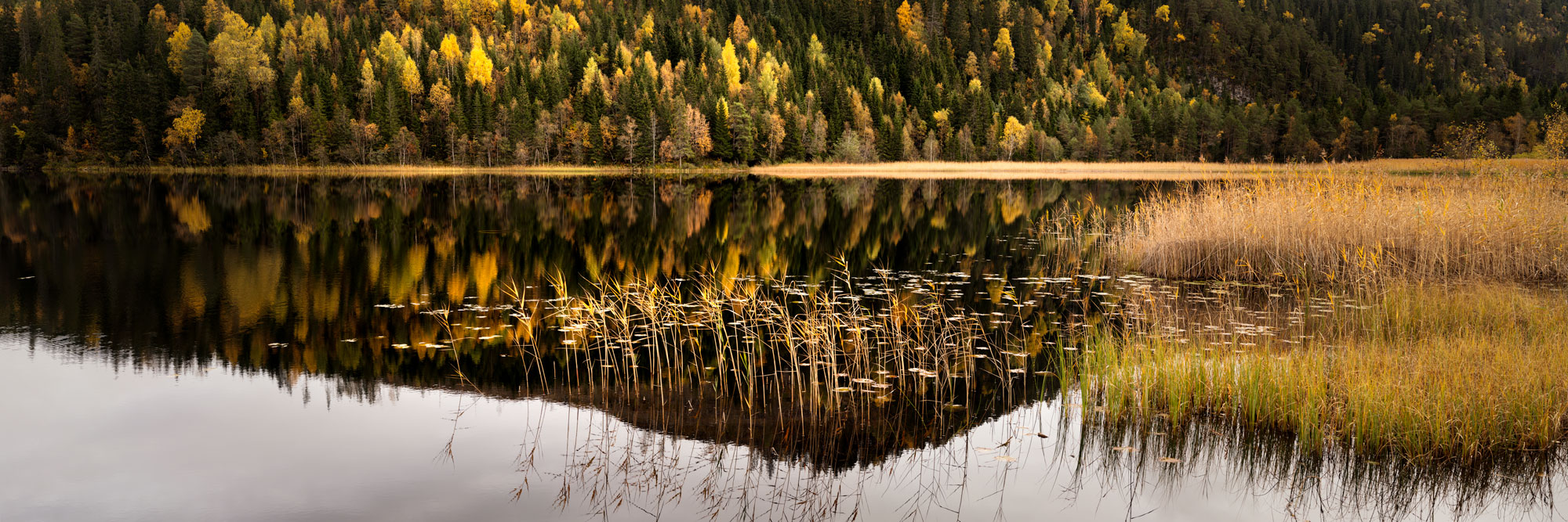 Panorama of Rungstadvatnet Lake in autumn in Norway