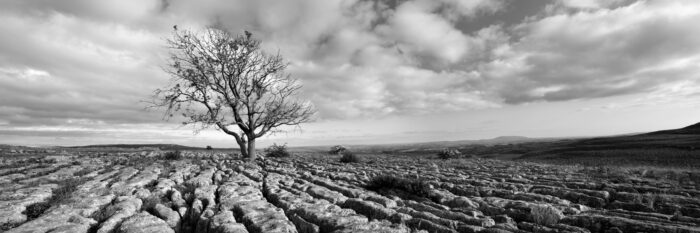 Black and white Panorama of the Limestone ripple pavements of Malham in the Yorkshire Dales