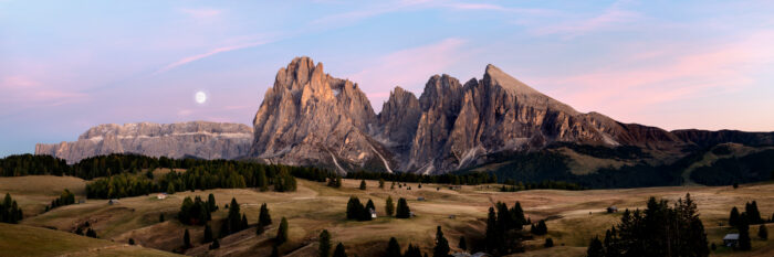 Panoramic print of the Aloe di Suisi Alpine meadow at sunset in the Italian Dolomites