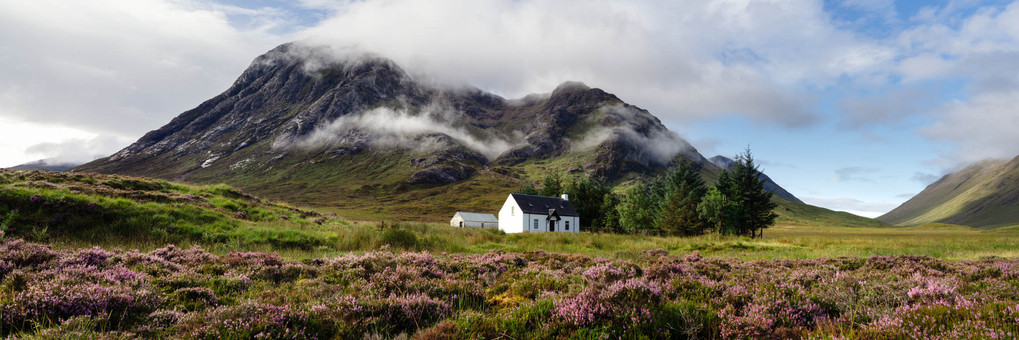 Panorama of a Scottish Cottage amongst the blooming Heather in Glencoe