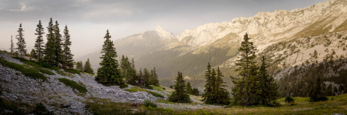Panoramic print of the Clot d'Aspres in the Vercors mountains in the French Alps