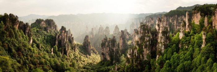 Panorama of the Avatar Landscape in China