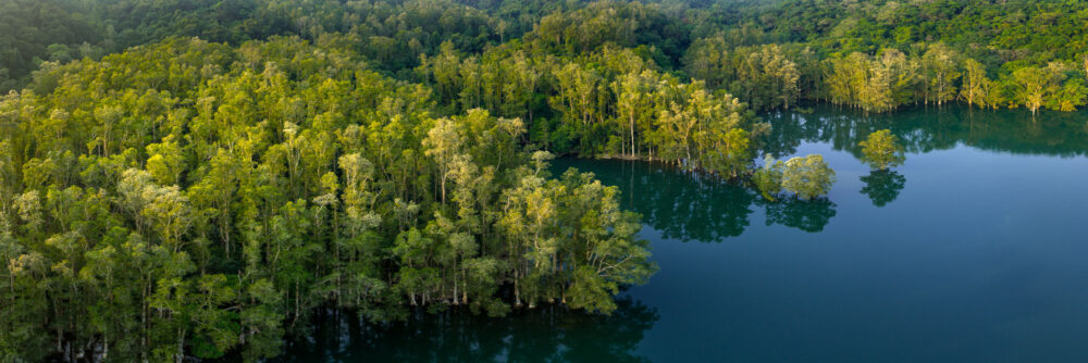 Aeria panorama of the flooded forest in Shing Mun Reservoir in Hong Kong